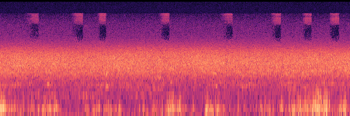 Spectrogram: Unknown Grasshopper or Cricket